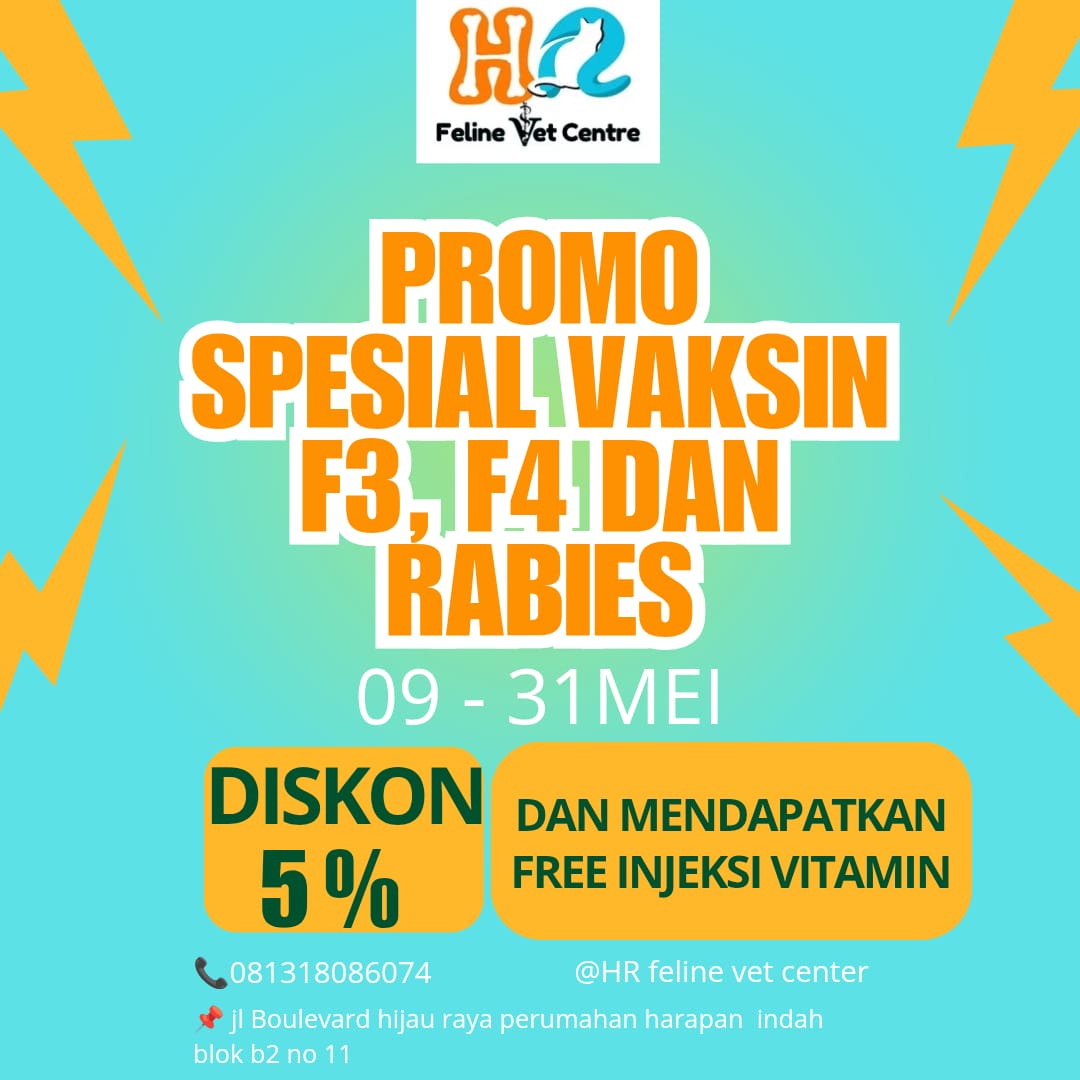 promo